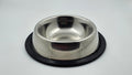 Stainless Steel Anti-Skid Pet Bowl (Small)